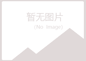 大丰盼山会计有限公司